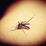 Cómo afectan las picaduras de mosquito a las pieles sensibles